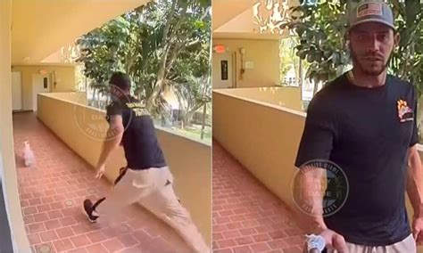 Pet Groomer Seen Kicking Dog In Viral Video Gets Arrested.